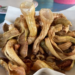 เป็ดย่าง101