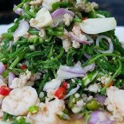 ยำผักหวานกุ้งย่างเล็ก