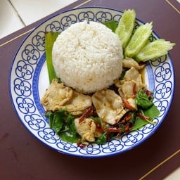 ข้าวกะเพราไก่