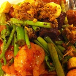 เย็นตาโฟผัดแห้ง