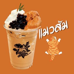 แมวส้ม