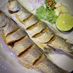 ปลากุเลา 4 ขีด (1 ตัว)