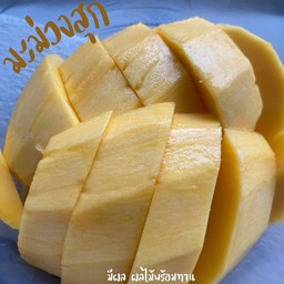 มีผล ผลไม้ สลัด พร้อมทาน ยางเนิ้ง สารภี