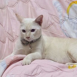 แอดมินน้องเต้าหู้