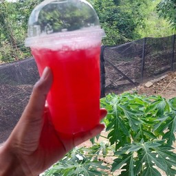 Himmapun Cafe ดอยสะเก็ด