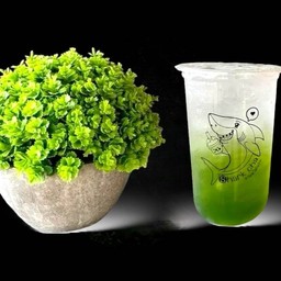 เขียวโซดา