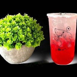 แดงโซดา