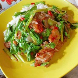 ข้าวคะน้าหมูกรอบ