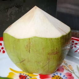 มะพร้าว ลูก