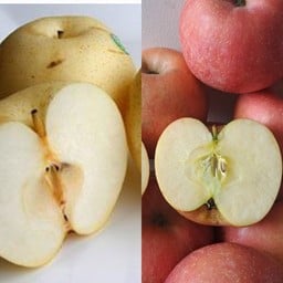 เซตกล่อง สาลี่+แอปเปิ้ล [กล่อง2ช่อง]