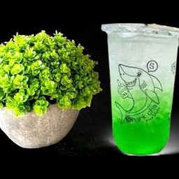 แคนตาลูปโซดา