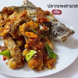 ปลากะพง สามรส (ตัว)