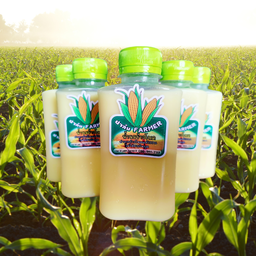 ปาล์มฟาร์มเมอร์