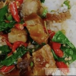 กระเพราหมูกรอบ