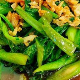 ผักกวางตุ้งผัดน้ำมันหอย