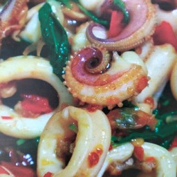 ข้าวราดผัดกระเพราปลาหมึก