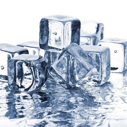 MENU_2517892lR_1719162034