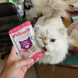 เศร้า ข้าวไม่มีจะกิน