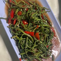 กะเฉดไฟแดง (ริมฝั่งซื่อซื่อ)