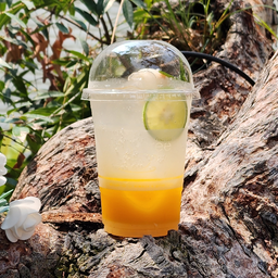 ซันไชน์