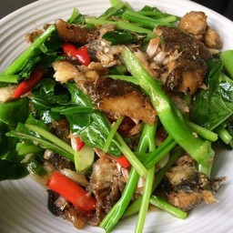ผัดคะน้า พริกแห้งราดข้าว