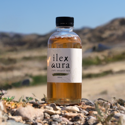 Unsweetened yaupon tea