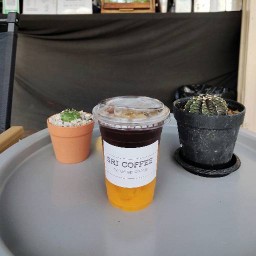 SRI COFFEE ร้านกาแฟใต้ต้นข่อย พานทอง