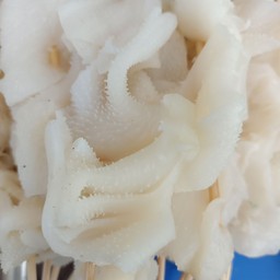 สไบนางเนื้อ