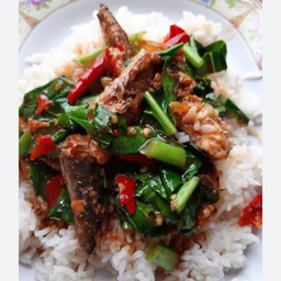คะน้า ปลากระป๋อง