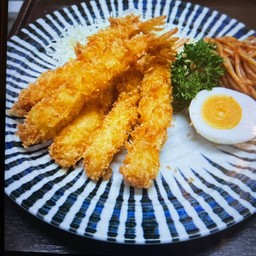EBI FRY