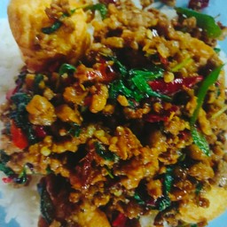 กระเพราหมูสับราดข้าว