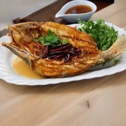 ปลากะพงราดซอสมะขาม ( ยกตัว )