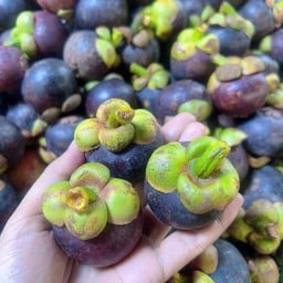 ผลไม้ป้าพร