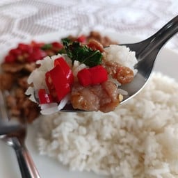 ครัว ณ พัช