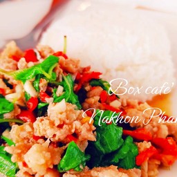 ผัดกะเพราไก่ราดข้าว