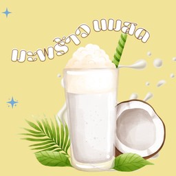 นมสดมะพร้าว