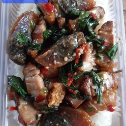 กะเพราหมูกรอบ ใส่ไข่เยี่ยวม้า