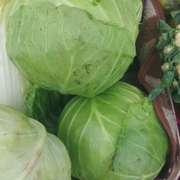 กำหล่ำปีหัวละ