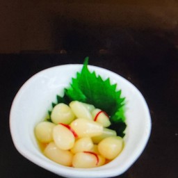 RAKKYO