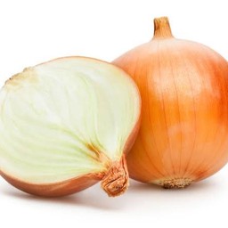 Tamanegi  100g