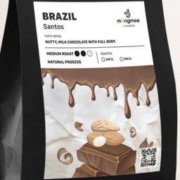 บราซิล (SANTOS)