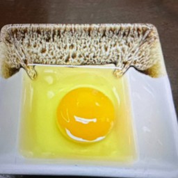 EGG
