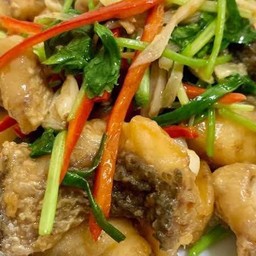 ข้าวราดปลาผัดขึ้นฉ่าย