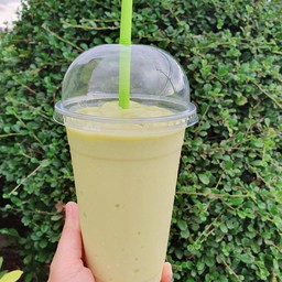 Avocado Fresh Milk Smoothie (สมูทตี้อะโวคาโด นมสด)