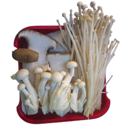 ชุดเห็ด