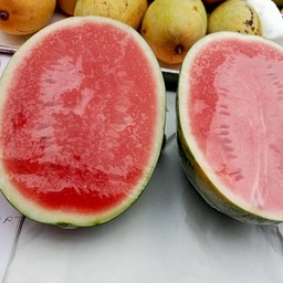 ดาวเรือง/ผลไม้พร้อมทาน