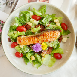 ซีซาร์สลัดแซลม่อนย่าง