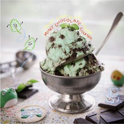 Mint Chocolate Chunk - Tub (400g)