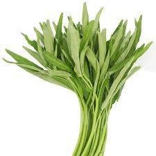 ผักบุ้ง