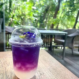 อัญชันมะนาว